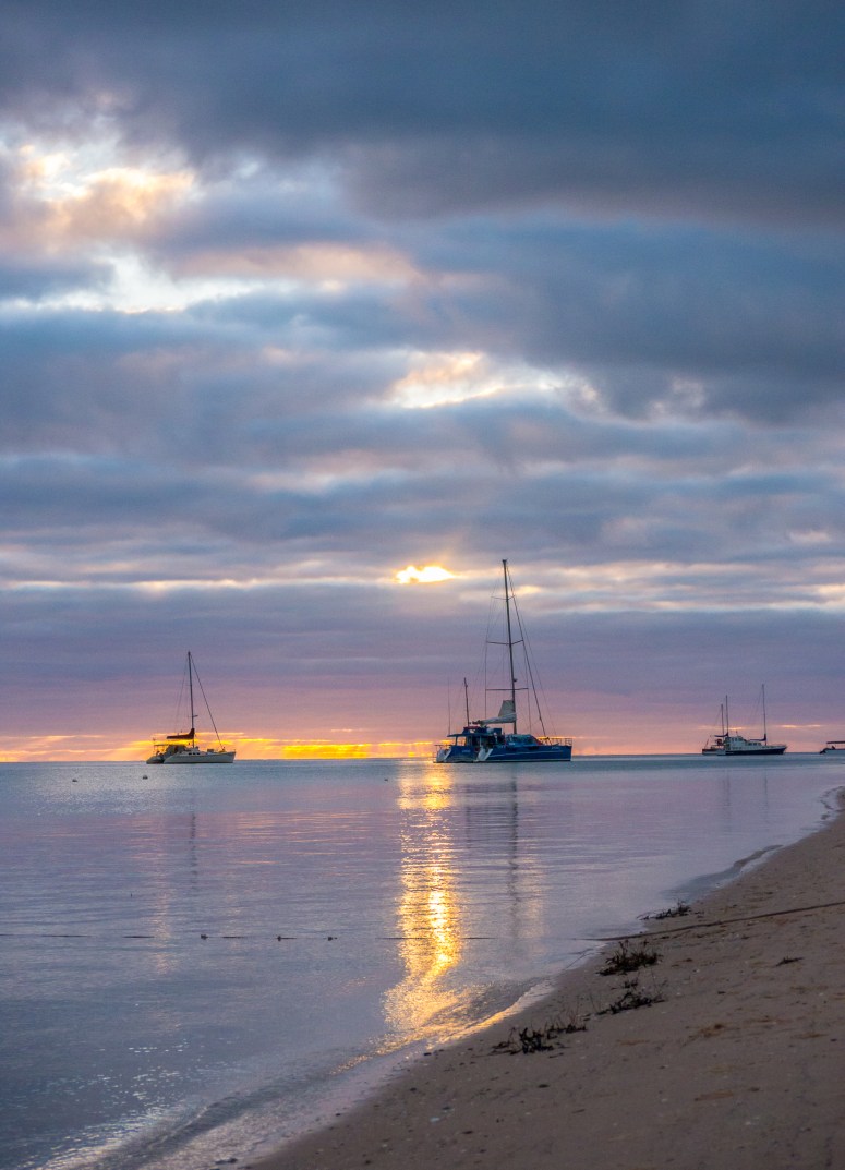 ClearingskiesMonkeyMia