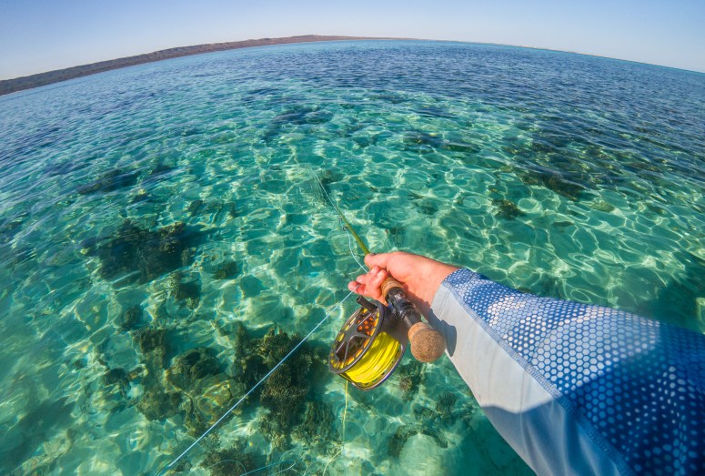 Flyfishing in paradise