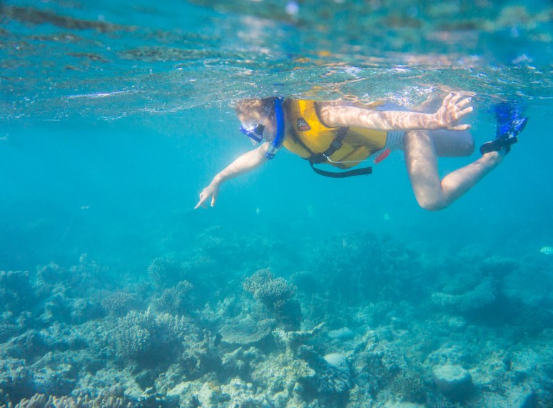 LivysnorkellingatNingalooStation