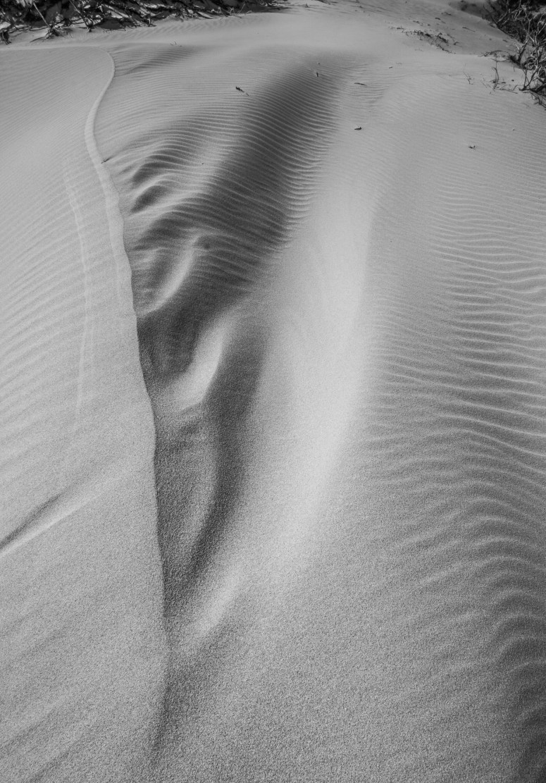 Sanddunedetails1
