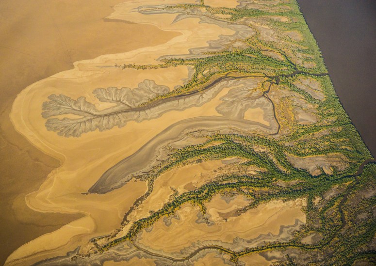 MudflatpatternsnearWyndham