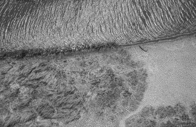 Riverpatternsandfreshwatercroc